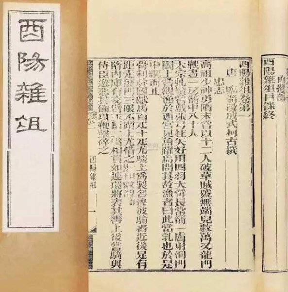 嫦娥吴刚是什么关系