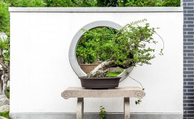 环境设计专业就业前景 环境设计就业方向分别有哪些