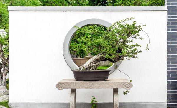 环境设计专业就业前景