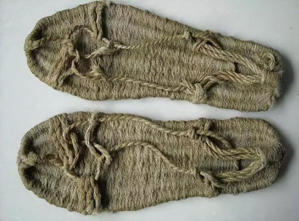 乌拉草是什么东西