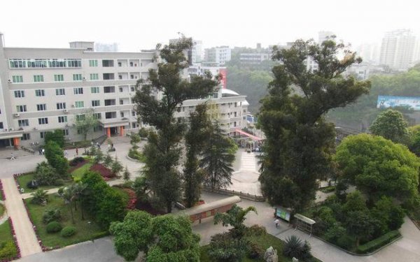 泸州最好的高中排名