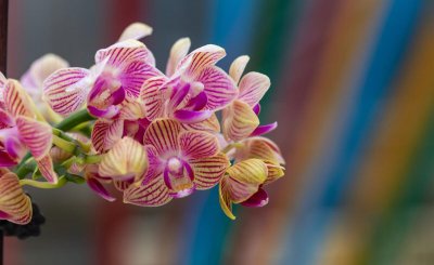 低成本适合女孩开的店 适合女人小成本开店做的生意