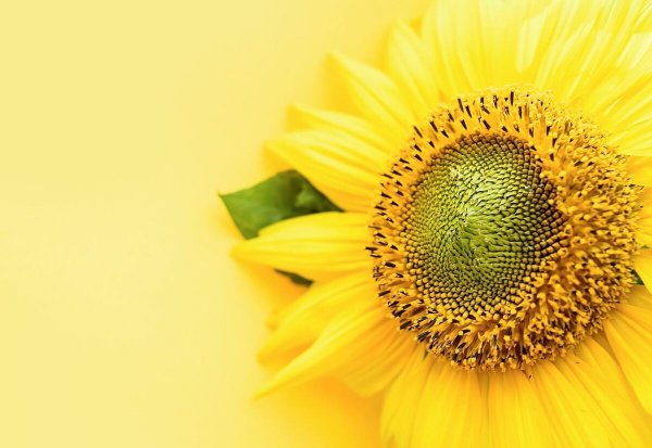 低成本适合女孩开的店