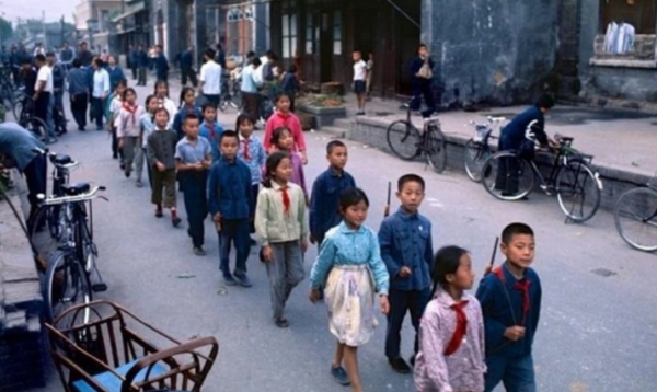 三门峡市有几个区县