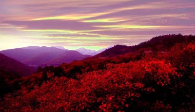 信都区属于邢台哪里 河北省邢台市信都区具体在什么地方