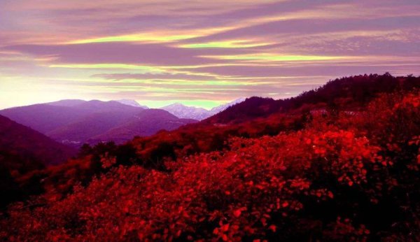 信都区属于邢台哪里