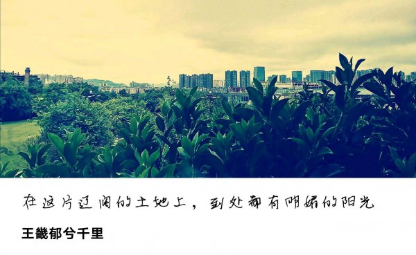 信都区属于邢台哪里