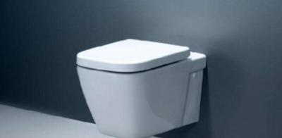 香皂掉进马桶里堵住了怎么办 肥皂堵马桶让其融化的妙招