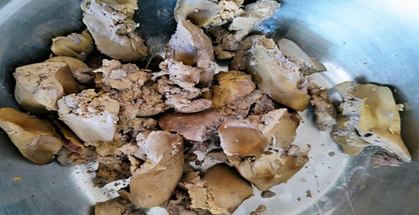 鸡肝钓什么鱼效果最好