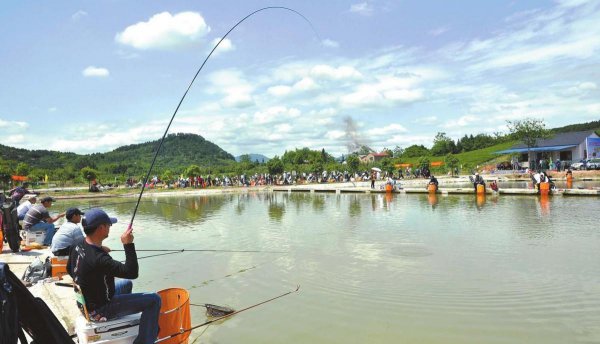 大风天气适合钓鱼吗