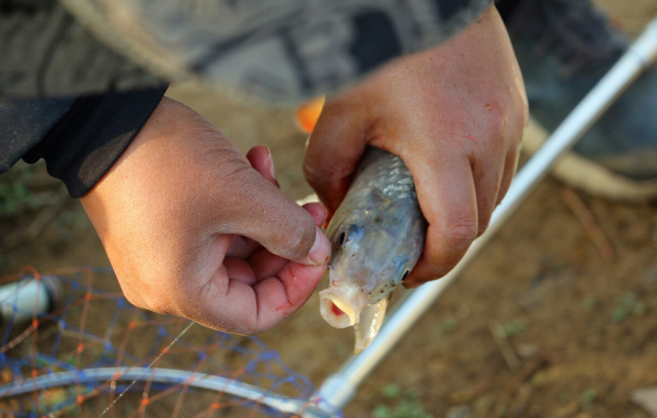 大风天气适合钓鱼吗