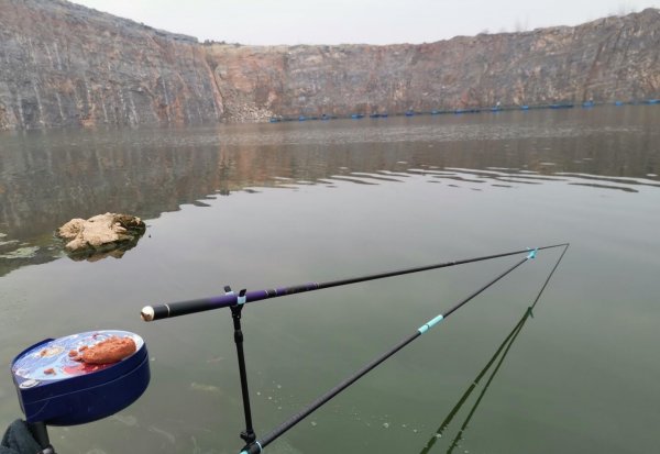 100元以内性价比高的鱼竿