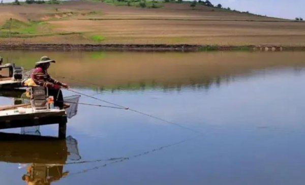 夏天钓鱼应该钓深水还是浅水