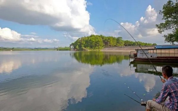 夏天钓鱼应该钓深水还是浅水