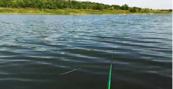 夏天钓鱼应该钓深水还是浅水