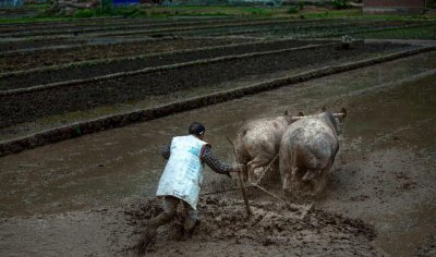 我国古代四大喜事 中国民间人生四大喜事都有什么