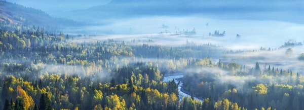 戏腔怎么练怎么发声