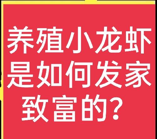 养小龙虾一年一亩多少利润