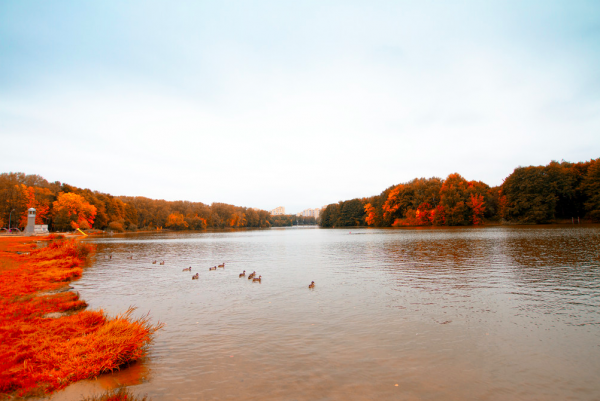 三秋是什么意思