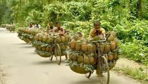 孟加拉国是哪里的国家