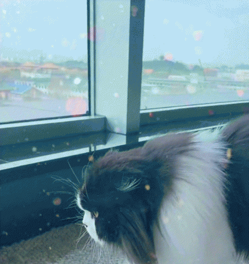 演员王艳的个人资料