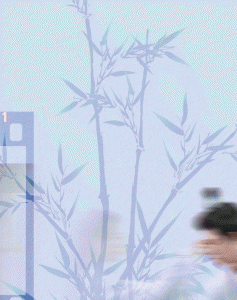 怎么感觉任嘉伦也挺喜欢白鹿 任嘉伦和白鹿出演过哪些作品