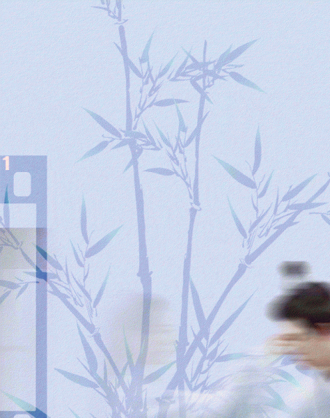 怎么感觉任嘉伦也挺喜欢白鹿