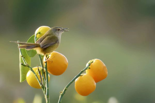 男人喜欢女人穿什么衣服