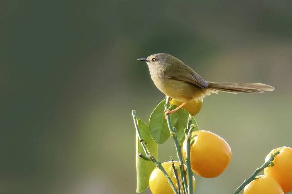 男人喜欢女人穿什么衣服