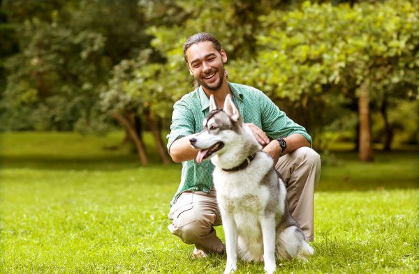 什么品种的狗适合男人用