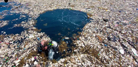 严重海洋垃圾对海洋生物的危害有多大的影响