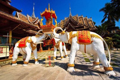 为什么很少人去西双版纳旅游 西双版纳游客越来越少的原因