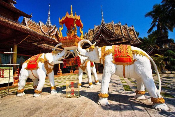 为什么很少人去西双版纳旅游