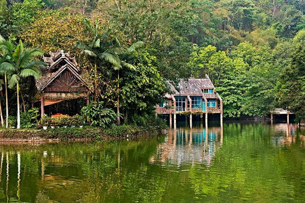 为什么很少人去西双版纳旅游