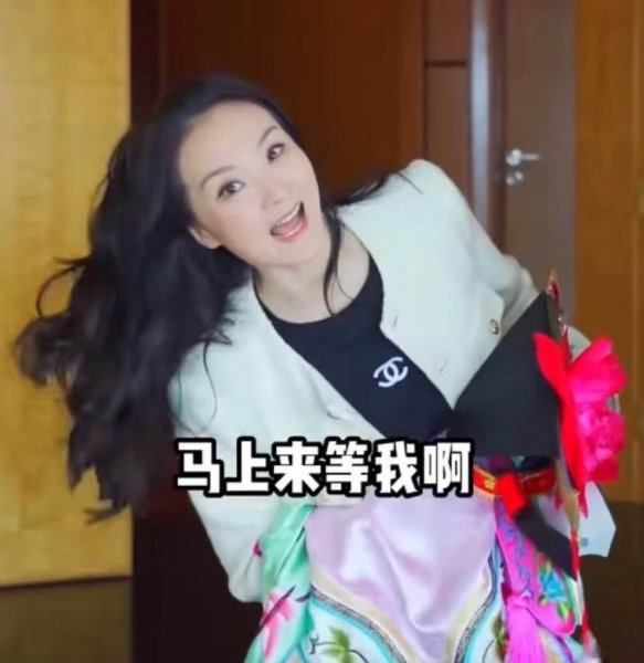 还珠格格晴儿扮演者