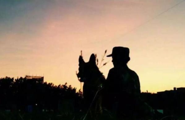 何捷个人资料简介