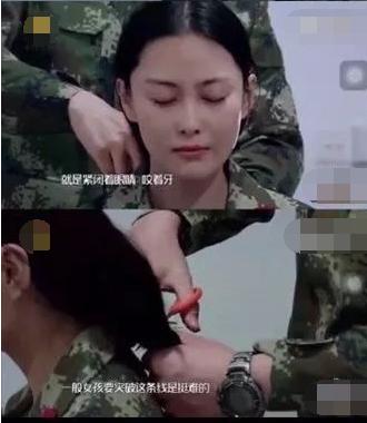 何捷个人资料简介