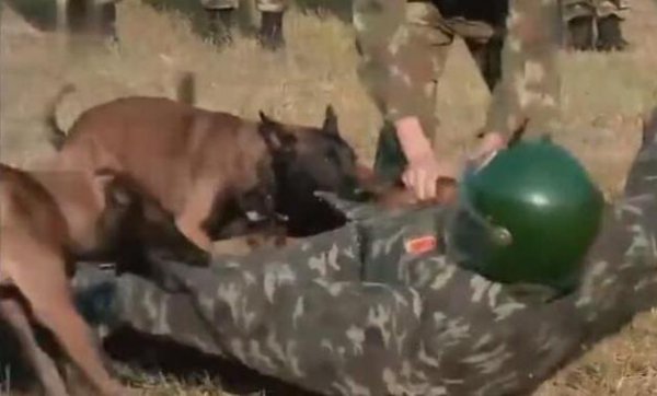 何捷个人资料简介