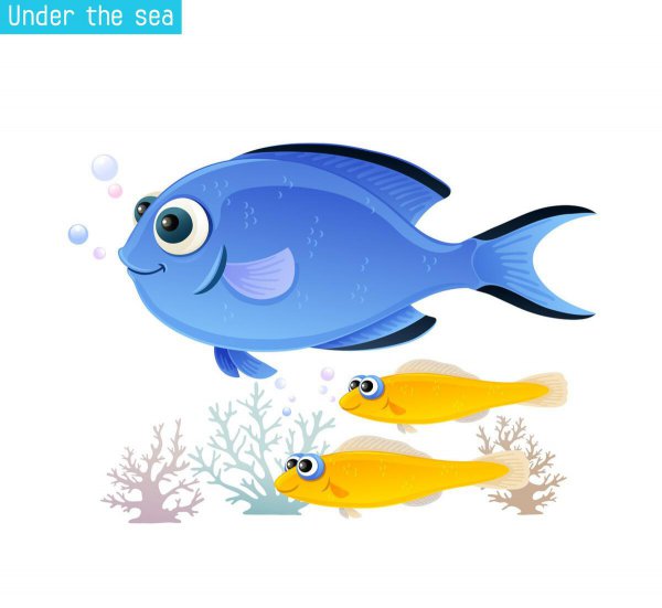 三条鱼的寓意和象征风水