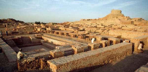 新疆若羌县面积有多大