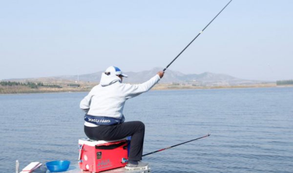 钓大鱼用什么调的鱼竿