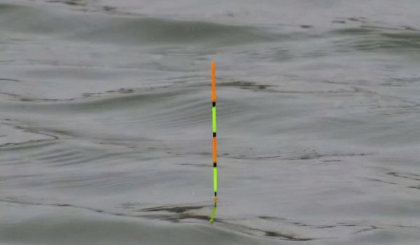 钓大鱼用什么调的鱼竿