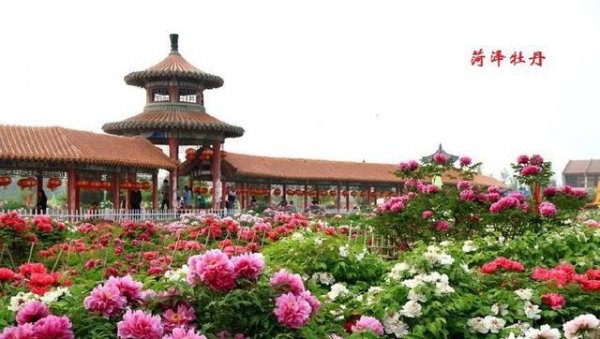 山东地级市有几个