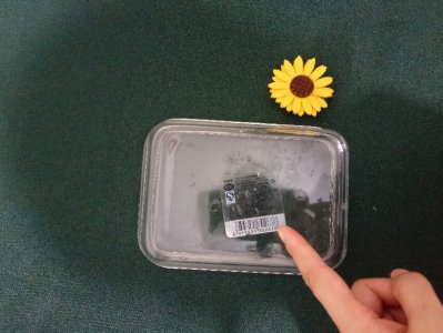 杯子上的商标胶怎么弄掉 怎样去掉杯子上的标签印