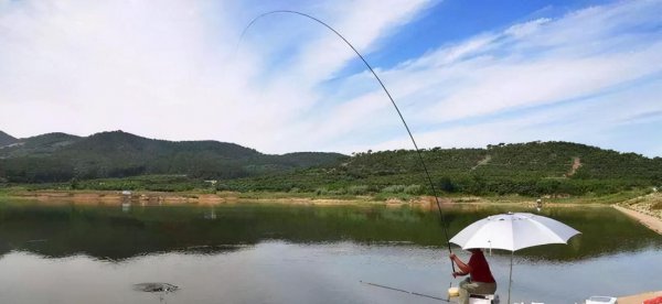 爱好钓鱼的原因是什么