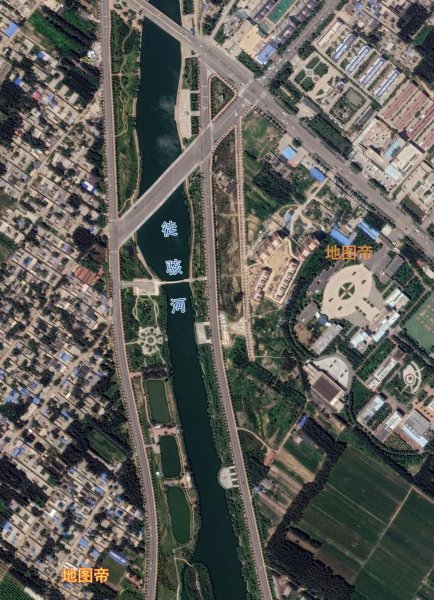 莘县属于山东哪个市