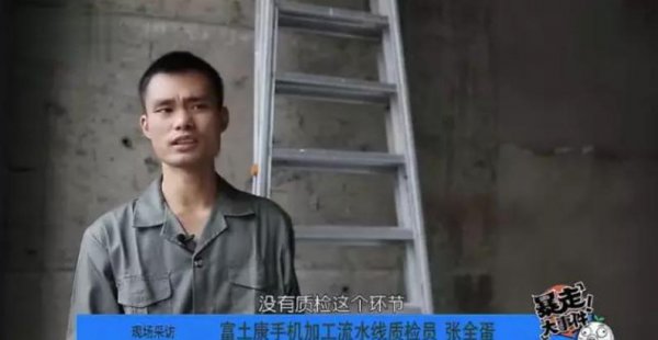 张全蛋是怎么火的