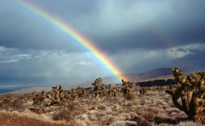 彩虹怎么形成的原因是什么 为什么会有彩虹的出现