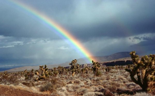 彩虹怎么形成的原因是什么