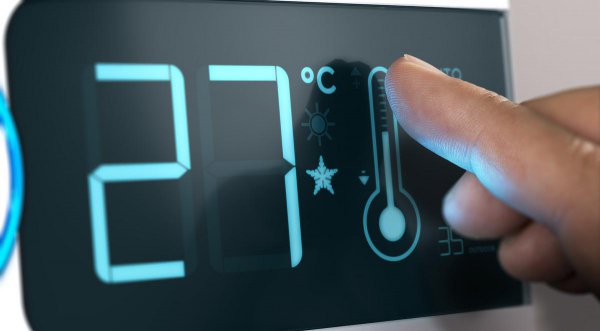 鹦鹉鱼身上长黑斑是怎么回事